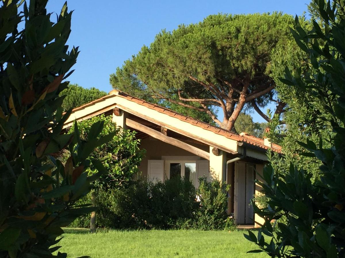 אפרטהוטל קסטנייטו קרדוצ'י Relais Le Fornacelle מראה חיצוני תמונה